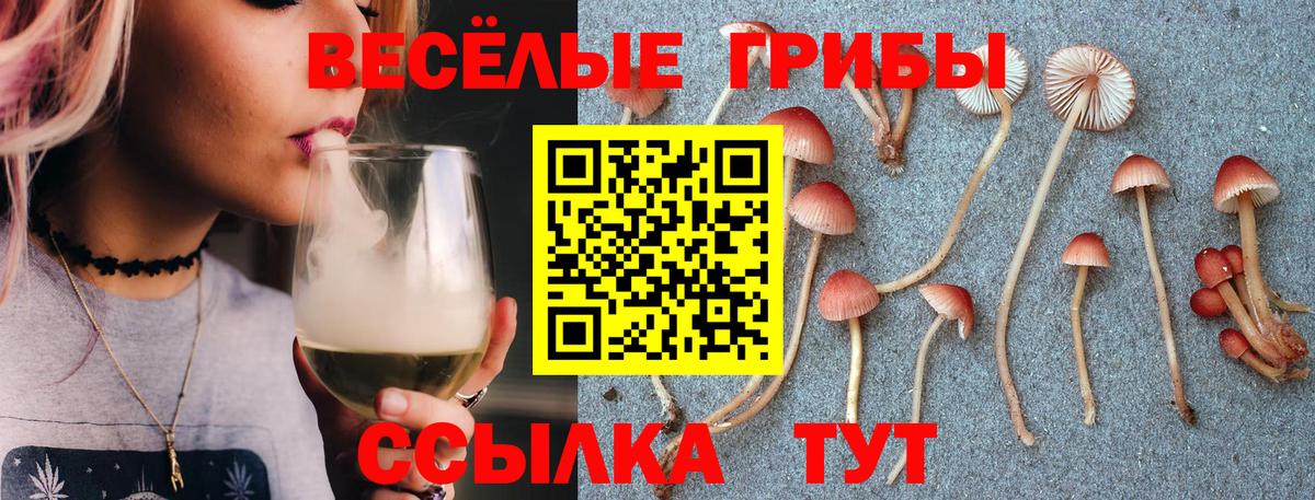 Среднеуральск  Галлюциногенные грибы мицелий  Псилоцибиновые грибы Magic Shrooms  Вход с VPN 